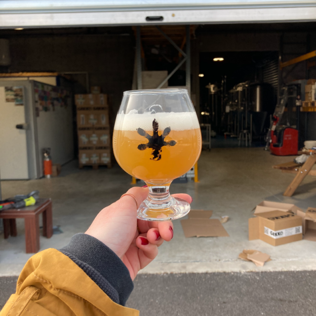 Brewery Tour : Gekko Beers in Tourrettes, France