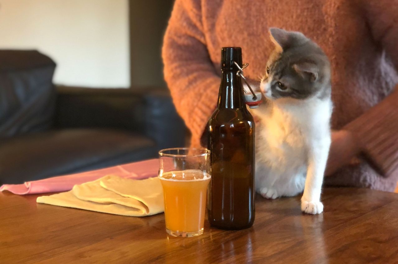 Baby's first brew